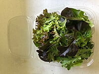 Upcountry Spring Mix 5oz clamshell