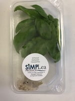 Living Basil