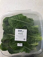 Green Romaine