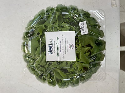 Green Summer Crisp-Salanova